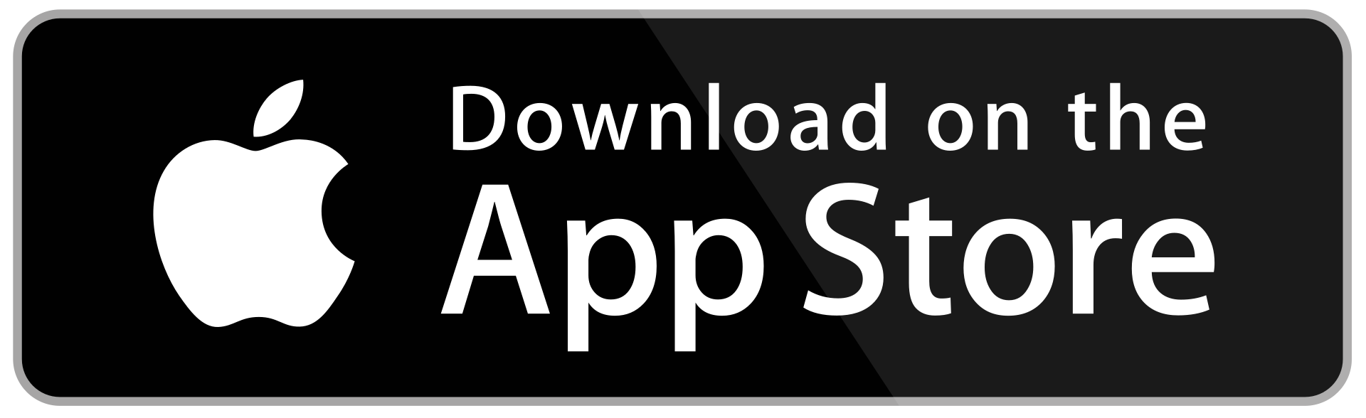 apple store icon